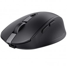 RATON TRUST OZAA COMP BK-DU7 RATON TRUST OZAA COMP BK