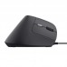 RATON TRUST BAYO II WIRED BK