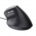 RATON TRUST BAYO II WIRED BK