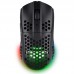 RATON TRUST GXT 929 HELOX BK-DU4 RATON TRUST GXT 929 HELOX BK