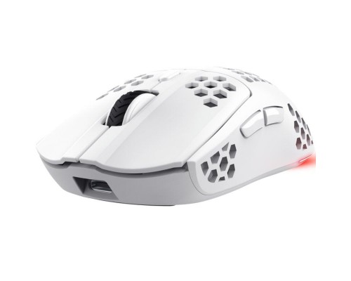 RATON TRUST GXT 929 HELOX WH