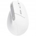 RATON TRUST BAYO II WIRED WH-DU5 RATON TRUST BAYO II WIRED WH
