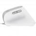 RATON TRUST BAYO II WIRED WH-DU5 RATON TRUST BAYO II WIRED WH