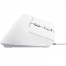 RATON TRUST BAYO II WIRED WH-DU5 RATON TRUST BAYO II WIRED WH