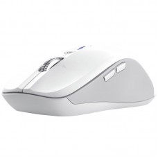 RATON TRUST FERRO WH-DU6 RATON TRUST FERRO WH