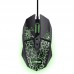 RATON TRUST GXT 113 FELOX BK-DU4 RATON TRUST GXT 113 FELOX BK