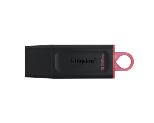 Kingston DataTraveler DTX 256GB USB 3.2 Gen1 Negro