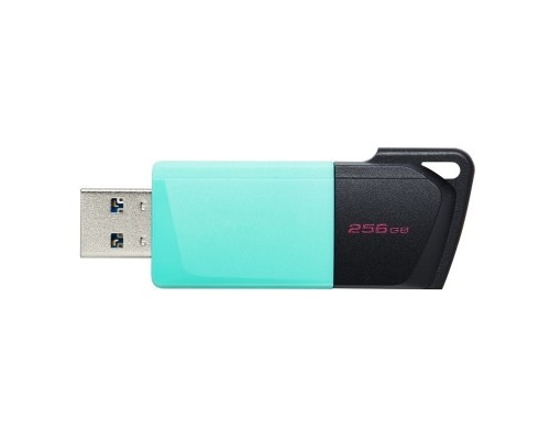 MEMORIA KINGSTON-JETFLASH DTXM 256GB-DU6 MEMORIA KINGSTON-JETFLASH DTXM 256GB