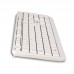 TECLADO NGS SPIKE